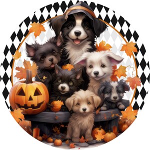 Halloween Puppy Wreath Sign | Pumpkin Patch Autumn Dog Round Metal Sign for Wreaths | Cute Fall Door Hanger Wreath Attachment
