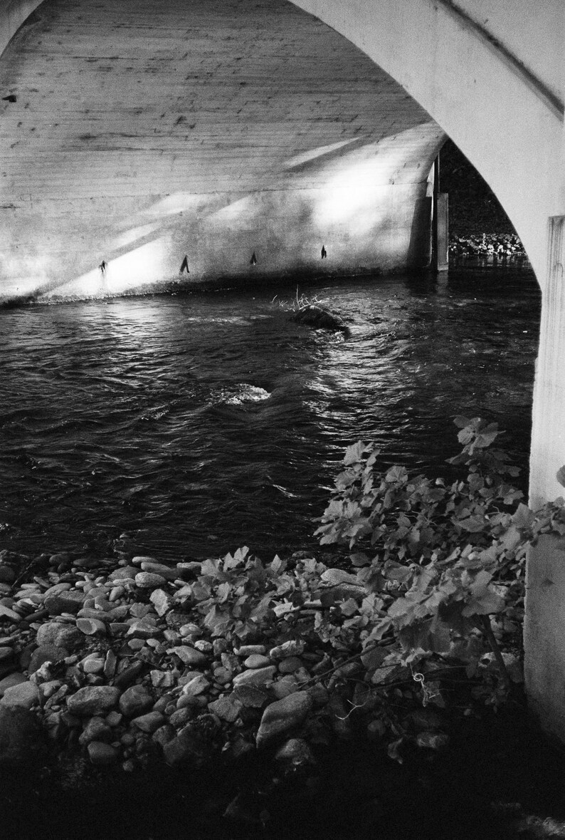 35mm Film Processing Develop and Scan Black and White Film Etsy