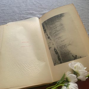 Puede incluir: Un libro abierto con una fotograf&iacute;a en blanco y negro de una escena de bosque. La p&aacute;gina izquierda tiene texto en rojo. Flores blancas en la esquina inferior derecha. El libro est&aacute; sobre una superficie rayada.