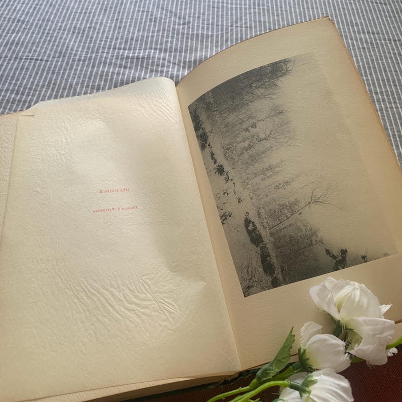 Puede incluir: Un libro abierto con una fotograf&iacute;a en blanco y negro de una escena de bosque. La p&aacute;gina izquierda tiene texto en rojo. Flores blancas en la esquina inferior derecha. El libro est&aacute; sobre una superficie rayada.