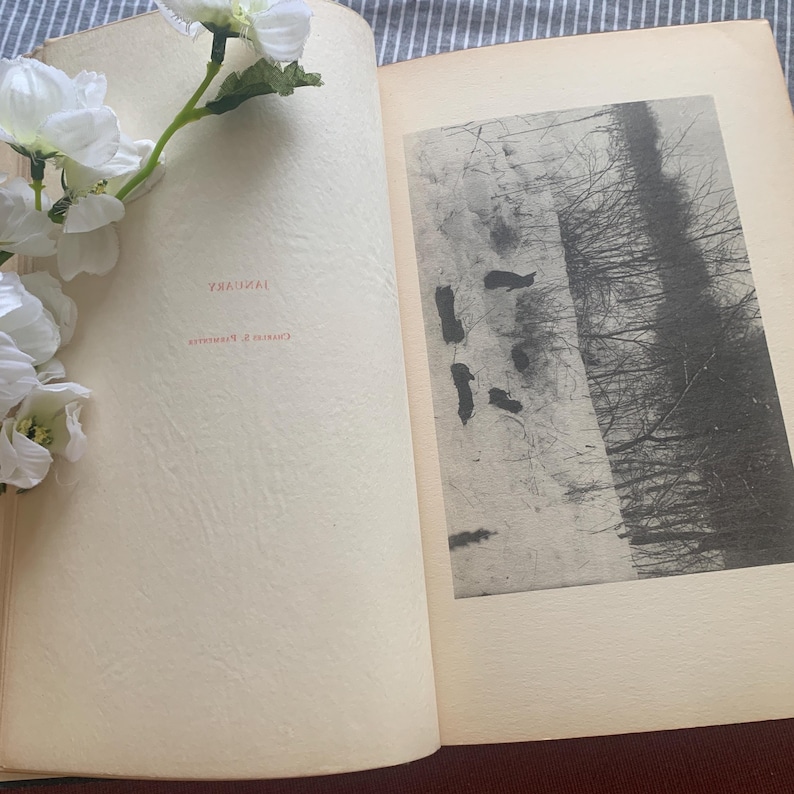 Puede incluir: Un libro abierto con una fotograf&iacute;a en blanco y negro de un paisaje nevado con &aacute;rboles desnudos. La p&aacute;gina izquierda tiene la palabra "JANUARY" en texto rojo. Flores blancas con tallos verdes se colocan en el lado izquierdo del libro.