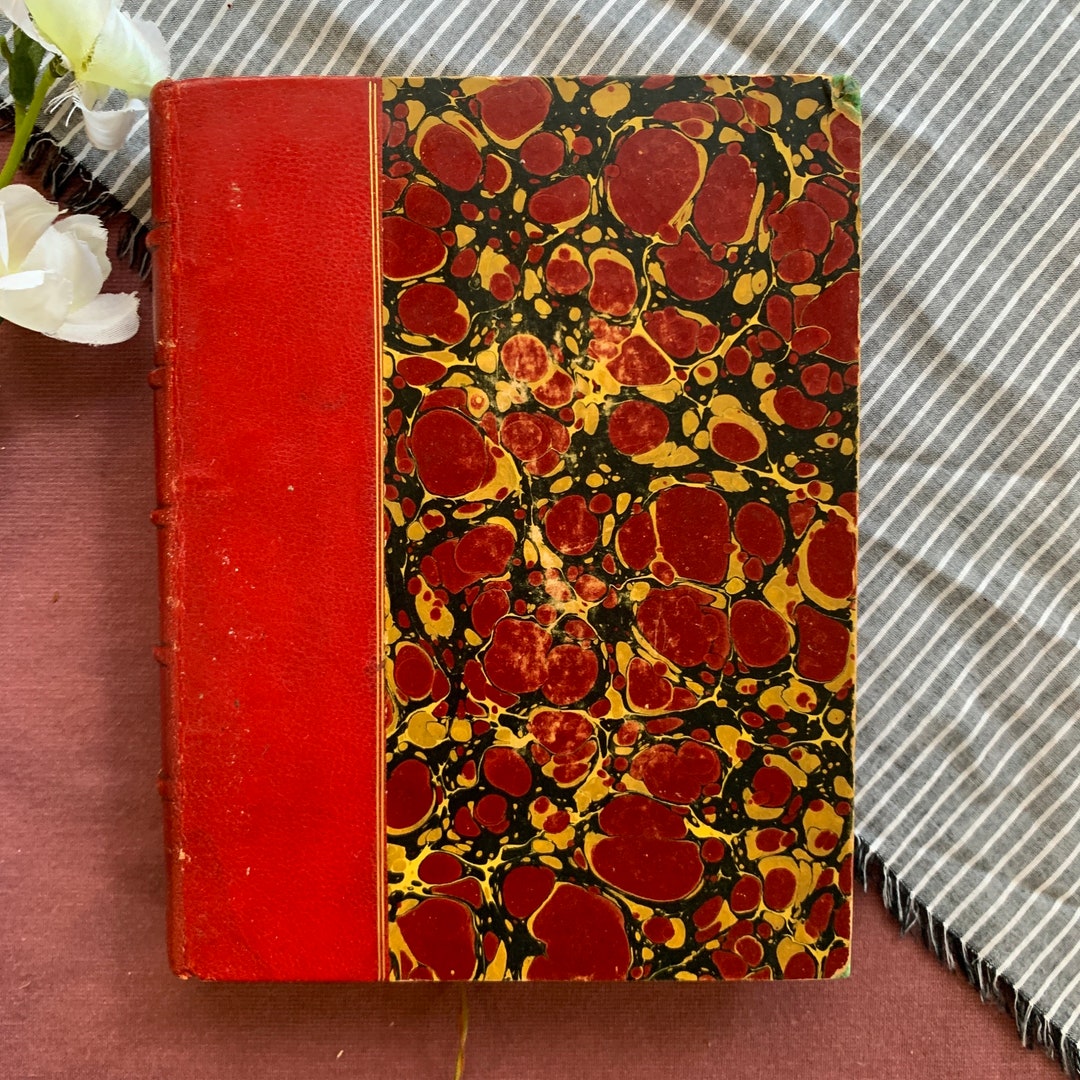 1890s French Novel toute La Troupe Vintage Decor Book Etsy