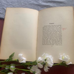 Puede incluir: Un libro abierto con texto sobre agosto y ma&iacute;z, con flores blancas en primer plano. El texto est&aacute; en ingl&eacute;s y trata sobre la historia y la importancia del ma&iacute;z. Las p&aacute;ginas del libro est&aacute;n envejecidas y las flores a&ntilde;aden un toque de elegancia.