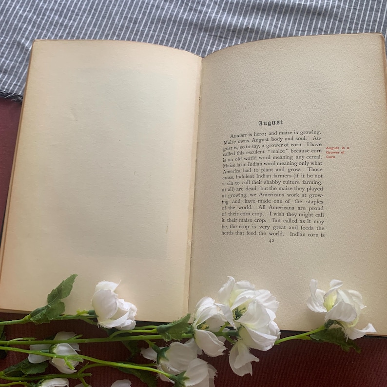 Puede incluir: Un libro abierto con texto sobre agosto y ma&iacute;z, con flores blancas en primer plano. El texto est&aacute; en ingl&eacute;s y trata sobre la historia y la importancia del ma&iacute;z. Las p&aacute;ginas del libro est&aacute;n envejecidas y las flores a&ntilde;aden un toque de elegancia.