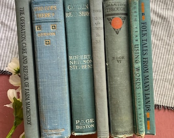 Circa 19O0s-1940s | Dusty Blue Books | Vintage Decor Book