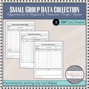 Small Group Data Collection Sheets