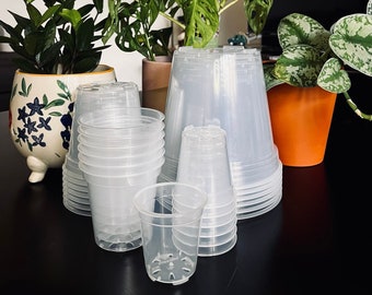 Vasi per piante in plastica trasparente confezione da cinque per piante d'appartamento, Aroidi, Hoyas, Monstera, dimensioni multiple