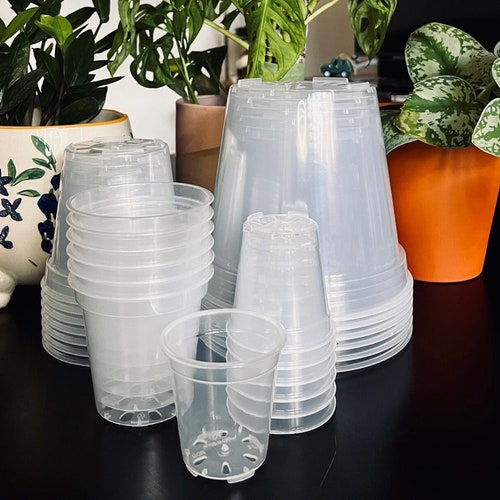 Clear Plastic Plant Pots Five Pack for houseplants Aroids Etsy