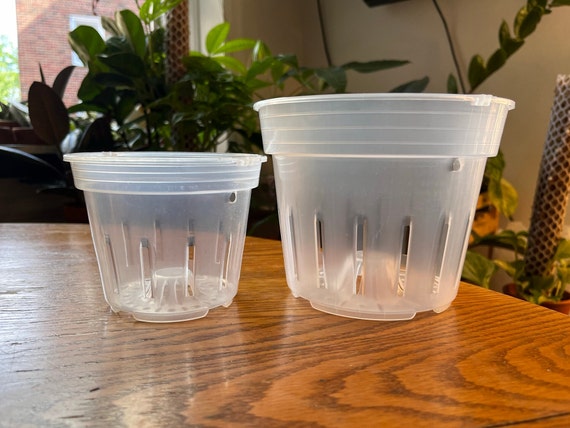Lot de cinq pots de fleurs en plastique transparent pour plantes d