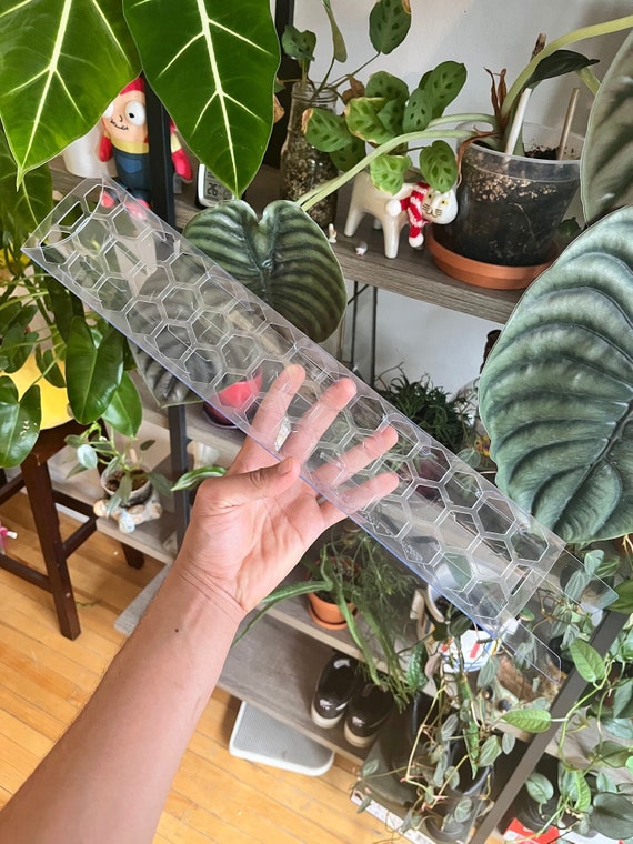 Super Clear Moss Pole D Shaped Stackable Multiple Sizes - Etsy Hong Kong