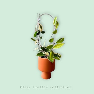 U- Shaped Clear Trellis , Hoya Trellis, Indoor Plant Trellis, Houseplant Trellis, Plant Gift, Plant Support and Growth