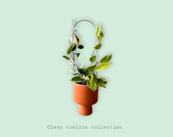 Treillis transparent en forme de U, treillis Hoya, treillis pour plante d'intérieur, treillis pour plante d'intérieur, cadeau de plante, soutien et croissance des plantes