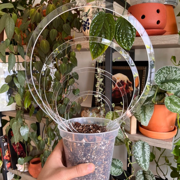Circle  Super Clear Trellis , Hoya Trellis, Indoor Plant Trellis, Houseplant Trellis, Plant Gift, Plant Support and Growth