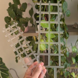 Puede incluir: Dos soportes para plantas de plástico transparente con un patrón de rejilla. Los soportes están diseñados para ayudar a las plantas a crecer en posición vertical y son ideales para usar con plantas de interior.