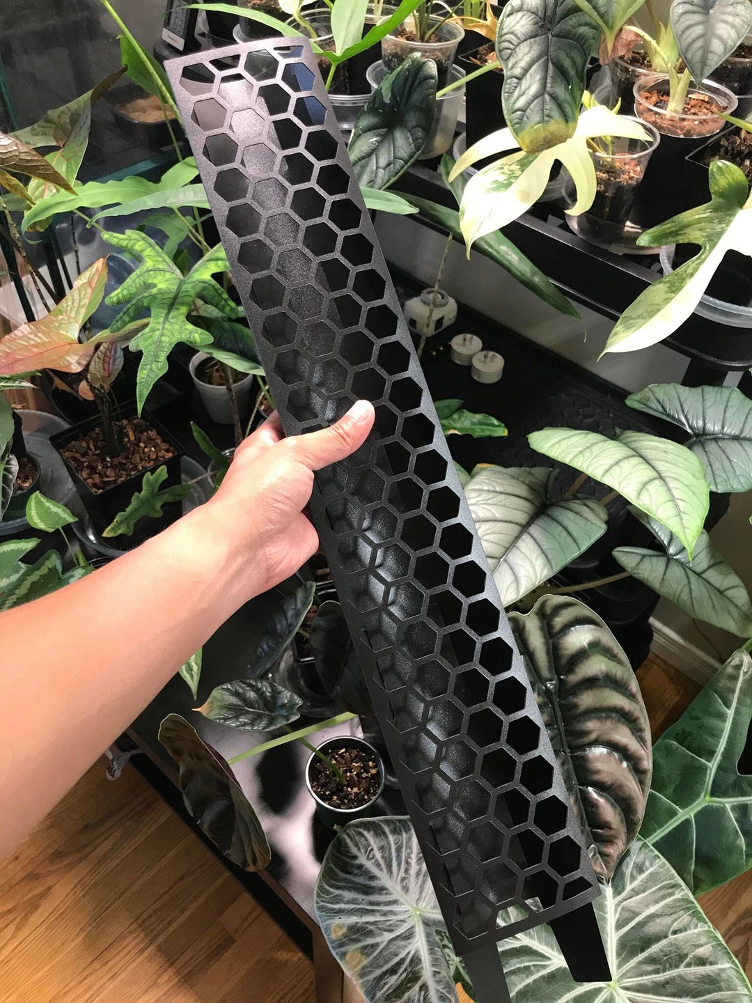 Moss Pole D Shaped Black Color Stackable Multiple Sizes Etsy