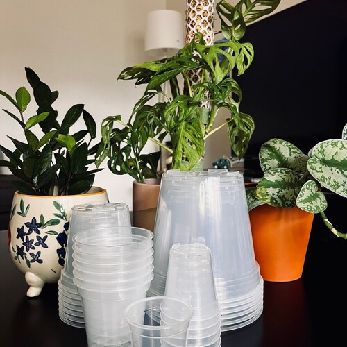 Clear Plastic Plant Pots Five Pack for houseplants Aroids Etsy