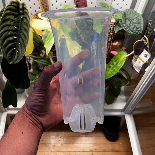 Clear Plastic Plant Pots Five Pack for houseplants Aroids Etsy