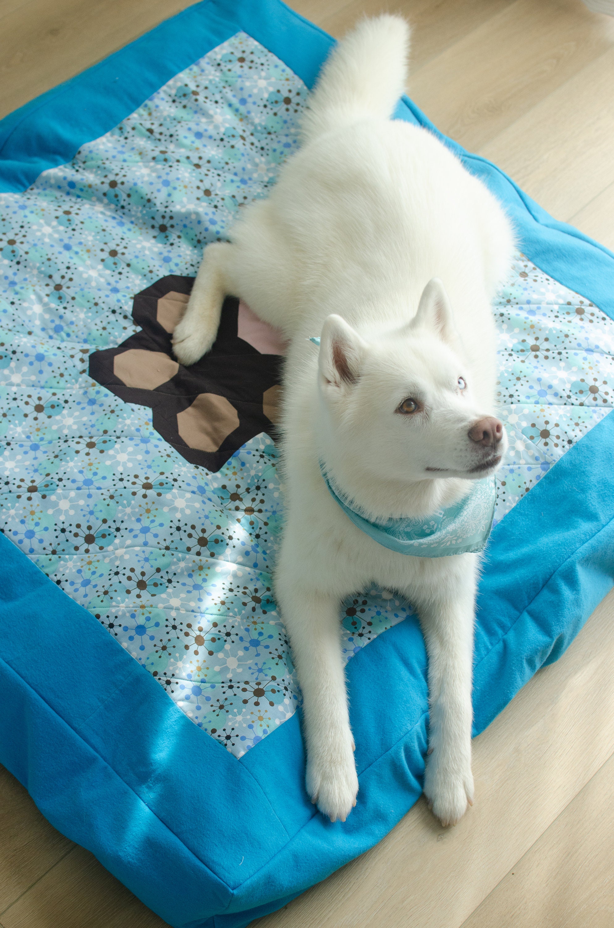 Vibrant Paws Quilted Blanket NCU0DV755