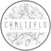CarlieFlo Modern Crochet Designs