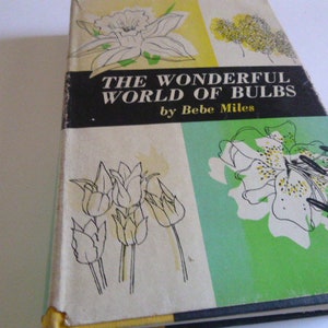 The Wonderful World of Bulbs Hardcover