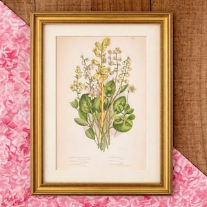 May include: A framed botanical print featuring a detailed illustration of various wildflowers and foliage. The artwork showcases a bouquet of green leaves, yellow stems, and small white flowers. The print is set in a gold frame, adding a touch of elegance to the floral design.