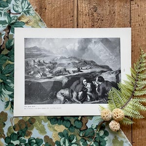 Antique Dog Print: &quot;The Deer Drive&quot; by Landseer, 1907