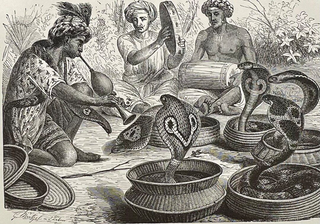 Cobra Di Capello Snake Charmer Original Black & White Etsy