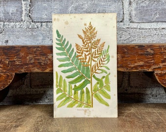 Royal Fern Print - Etsy