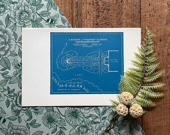 1916 Garden Blueprint: Border of Fragrant Flowers, DIY Planting Plan