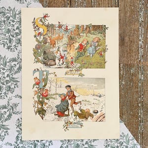 1887 French Alphabet Print! S & T Letter Illustration! Framable Antique Colorful Baby Nursery Decor! Monogram Initial Art! Paris, France!
