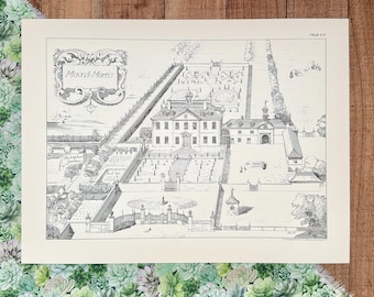 Antique Mount Morris Garden Print, 1902 Architectural Landscape Wall Art