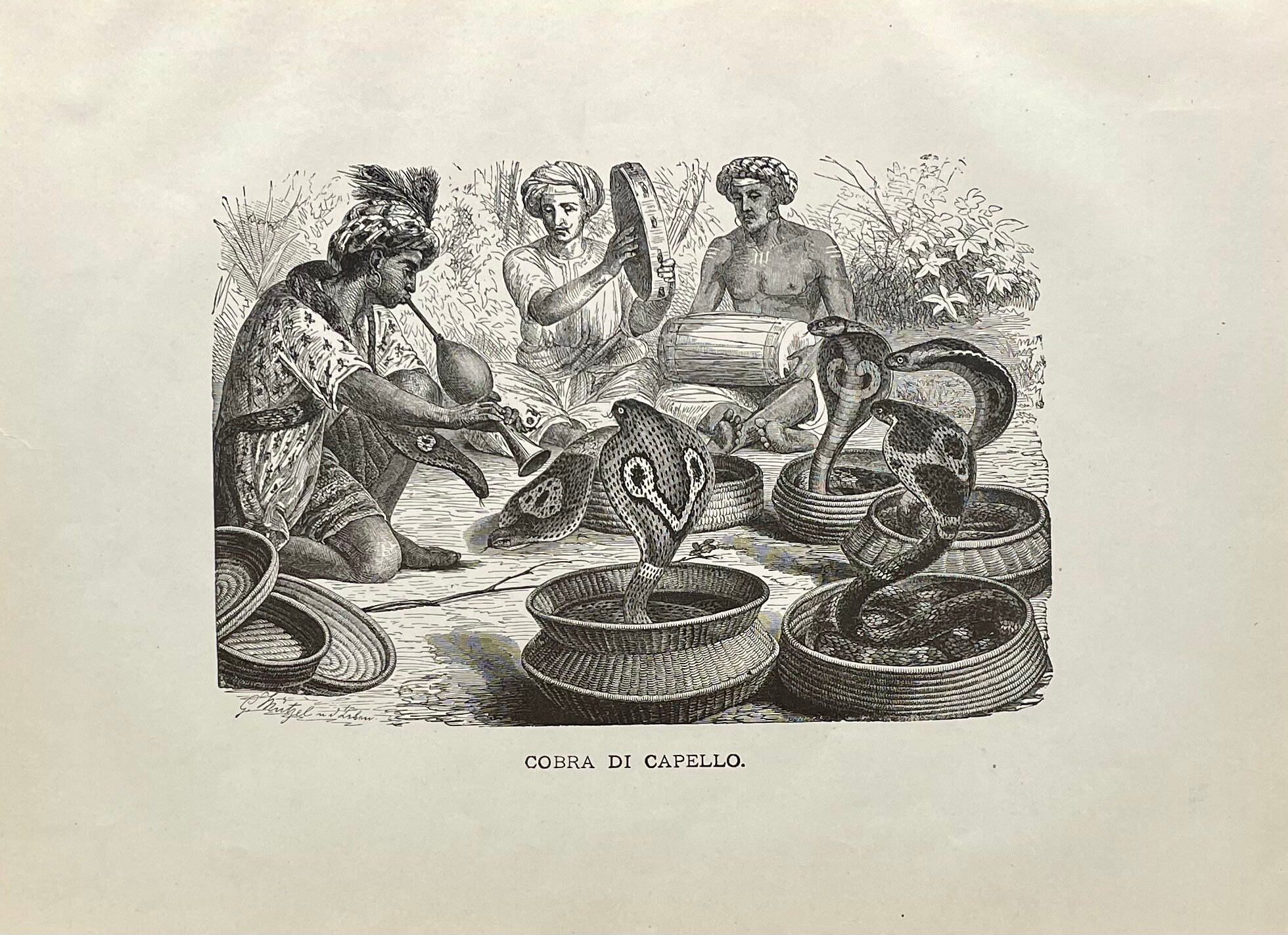 Cobra Di Capello Snake Charmer Original Black & White Etsy