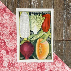 1922 Choice Vegetables Garden Seed Catalog Page Print! John Lewis Childs! Framable Veggie Illustration Seed Print! Gardener Gift!