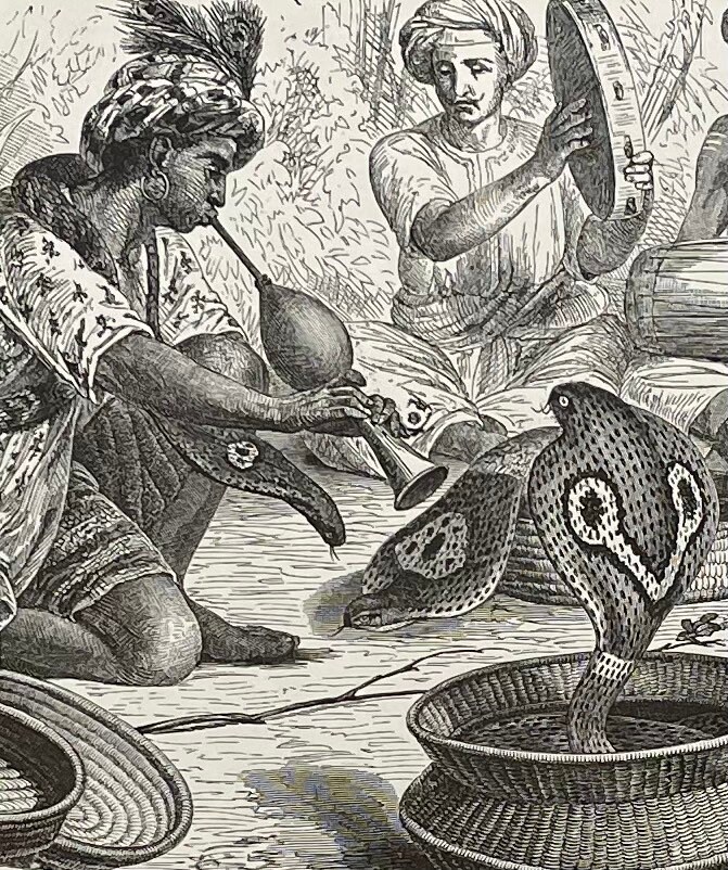Cobra Di Capello Snake Charmer Original Black & White Etsy