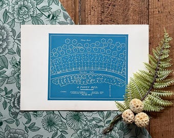1916 Poppy Bed Garden Plan Blueprint: Framable Landscape Design Art