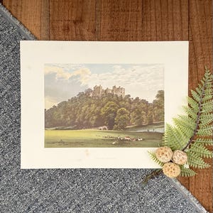 1878 Dunster Castle Print: Antique English Landscape Lithograph
