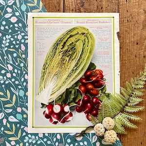 1916 Grass Seed & Vegtable Garden Seed Catalog Pages! 2 sided! Henderson and Co! Framable Veggie Illustration Seed Print! Gallery Wall!