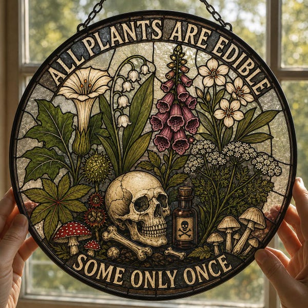 All Plants Are Edible Stained Glass Suncatcher | Funny Gothic Botanical Window Hanging | Dark Humor Plant Lover Gift | Mushroom Skull Decor