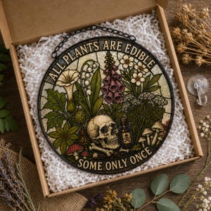 May include: Round stained glass art piece with a black metal frame and chain. The artwork features a skull, mushrooms, and various plants, with the text "ALL PLANTS ARE EDIBLE SOME ONLY ONCE". The piece is displayed in a cardboard box with white packing material.