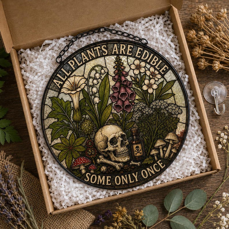 May include: Round stained glass art piece with a black metal frame and chain. The artwork features a skull, mushrooms, and various plants, with the text "ALL PLANTS ARE EDIBLE SOME ONLY ONCE". The piece is displayed in a cardboard box with white packing material.