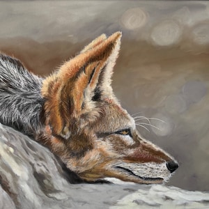 Impressão de arquivo Black Backed Jackal do desenho original do vendedor