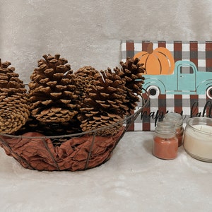 Fresh Jumbo Pine Cones