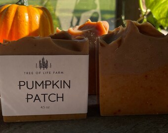 Pumpkin Patch Soap Bar