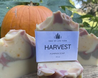 Harvest Pumpkin Soap Bar