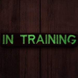 May include: A black headband with the words "IN TRAINING" in green glow-in-the-dark lettering.