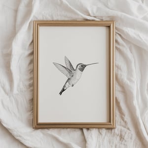 Black and White Hummingbird Sketch - Printable Wall Art Digital Bird Drawing Spring Home Decor Modern Bird Artwork Elegant Hummingbird Print