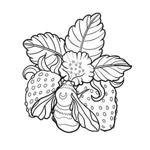 Fantasy Tattoo Art Sketch Digital Download