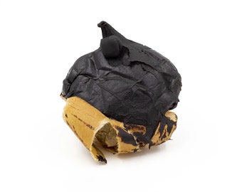 Resina di loto blu 100x