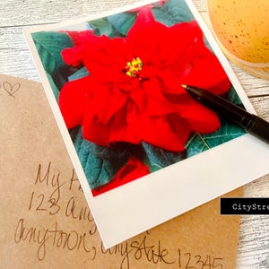Fotografie Weihnachten Poinsettia Flower Home For The Holidays Grußkarte Geschenk Note Card Photos Of Beautiful Daily Life
