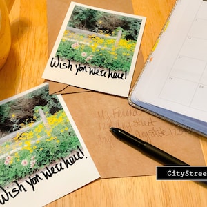 Fotografie Blumen Wildblumen Wish You Were Here Grußkarten Fotos von schönem Alltag